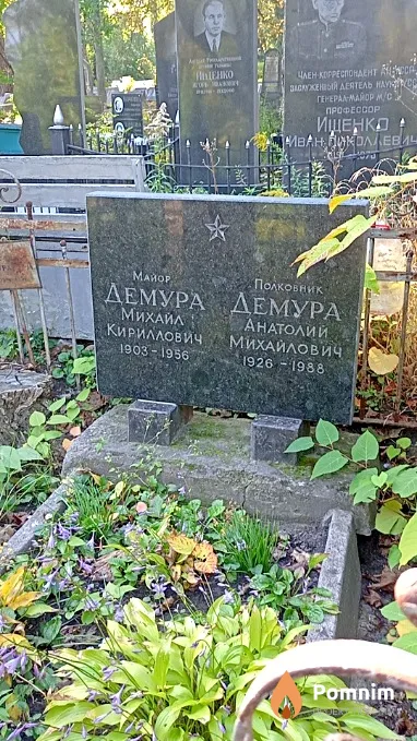 Демура Анатолий Михайлович