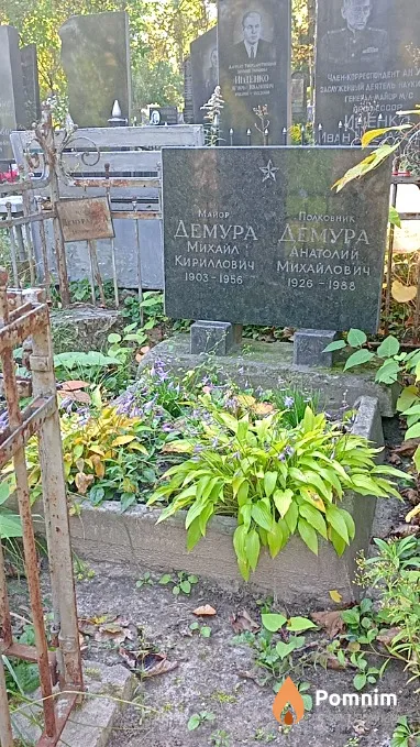 Демура М А