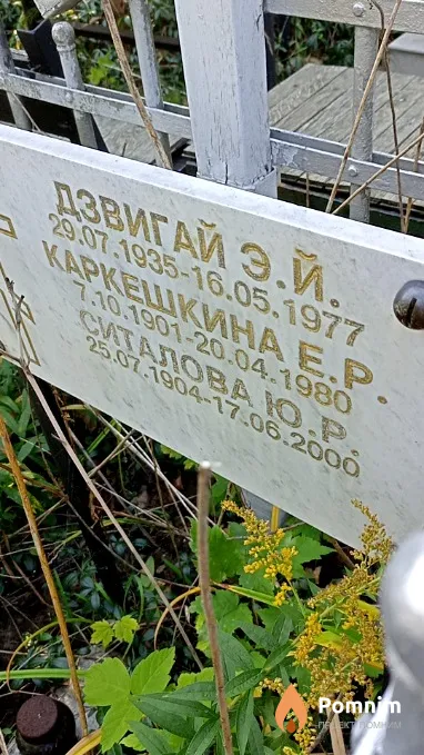 Каркешкина Е Р