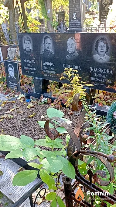Поляков Александр Евгеньевич