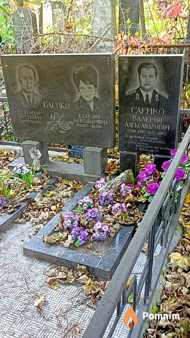 Саенко Валерий Александрович