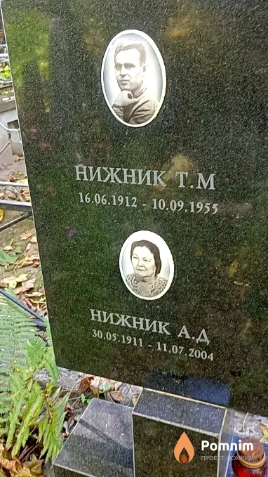 Нижник Т М