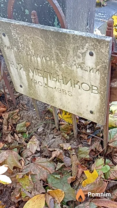Мельников Н Я