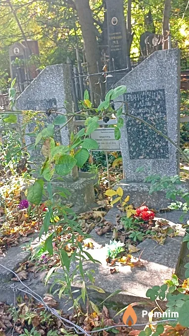 Приступа Анна Яковлевна