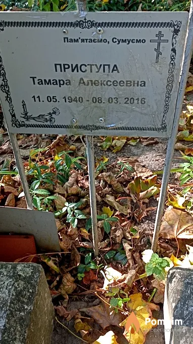 Приступа Тамара Алексеевна