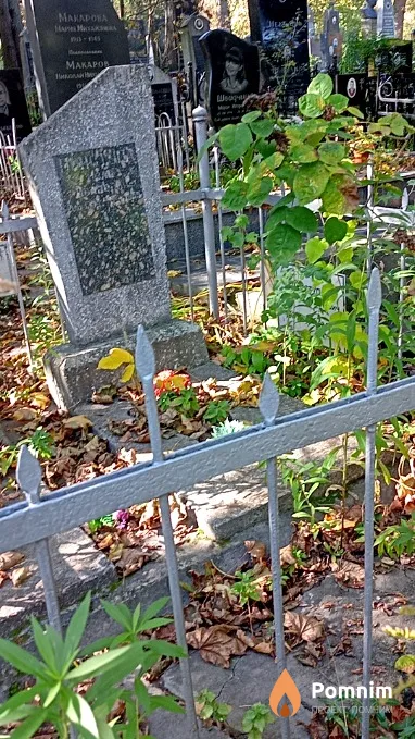 Приступа Николай Иванович