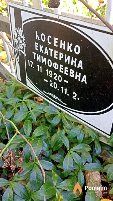 Косенко Екатерина Тимофеевна