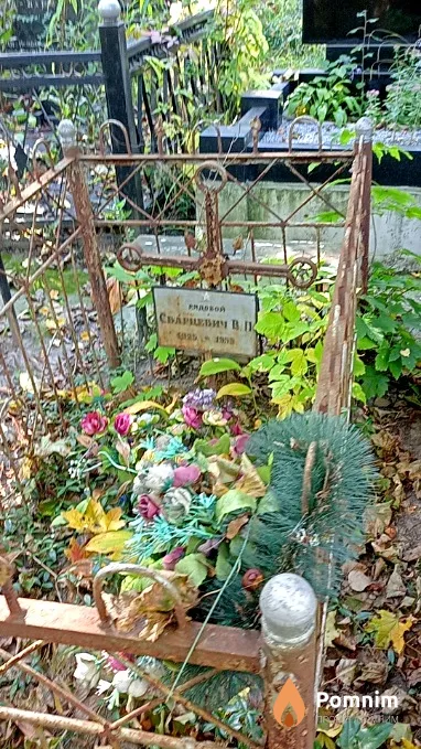 Сварцевич В П