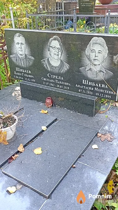 Стрела Светлана Павловна