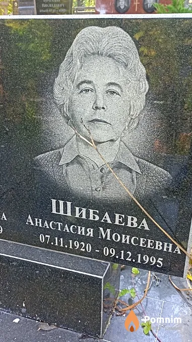 Шибаева Анастасия Моисеевна