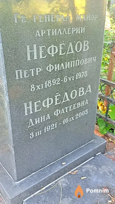 Нефёдова Дина Фатеевна