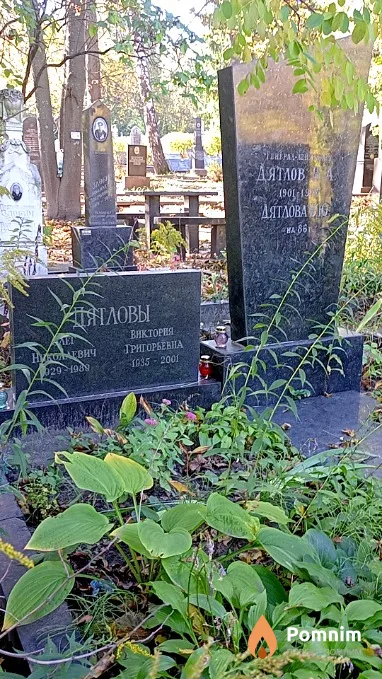 Дятлов Н А