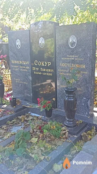 Любчевский Александр Александрович