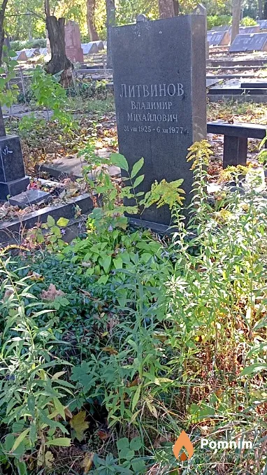 Литвинов Владимир Михайлович