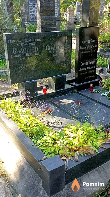 Соловьев Василий Петрович
