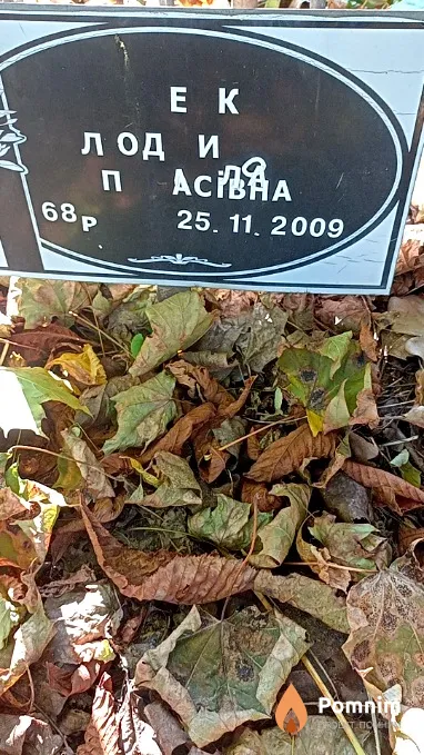 Фоменко Людмила