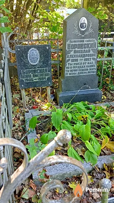 Боровский Николай Александрович