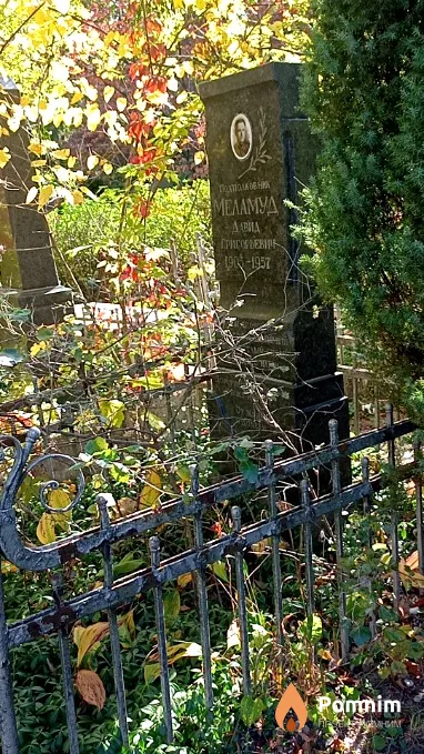 Меламуд Давид Григорьевич