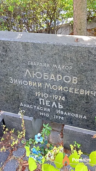 Пель Анастасия Ивановна
