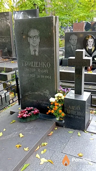 Гриценко Алена