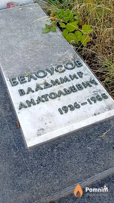 Белоусов Владимир Анатольевич