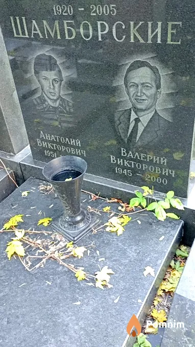 Шамборский Валерий Викторович