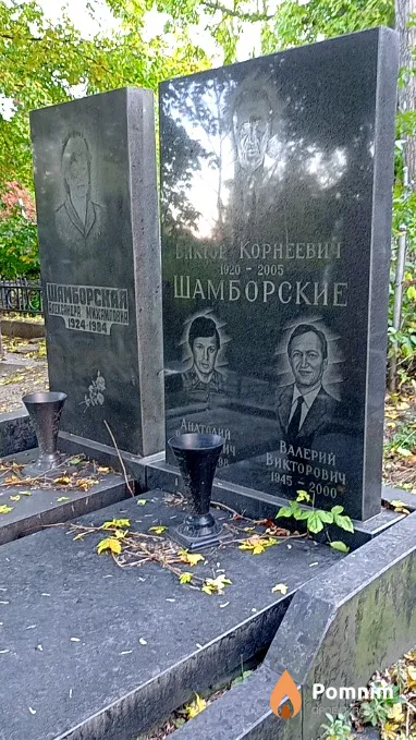Шамборский Анатолий Викторович