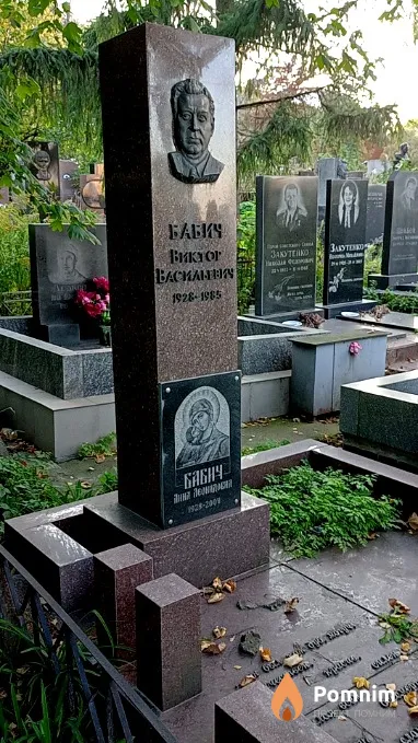 Бабич Виктор Васильевич