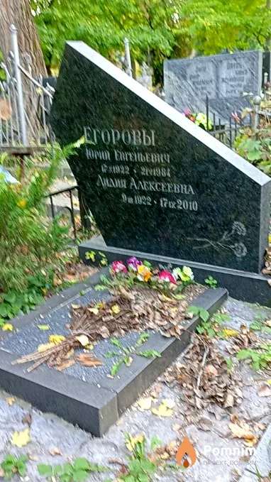 Егоров Юрий Евгеньевич