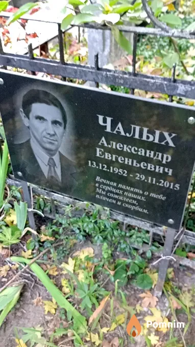 Чалых Александр Евгеньевич
