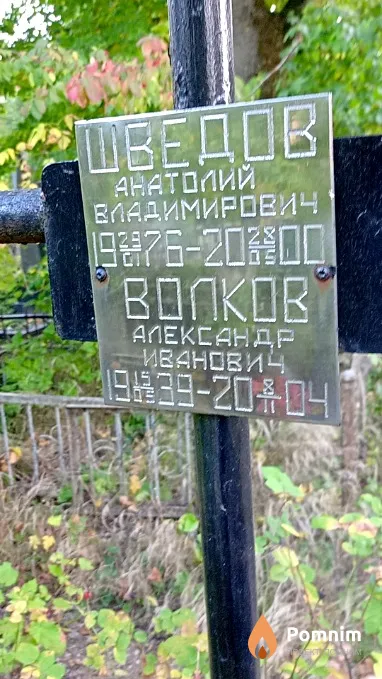 Волков Александр Иванович