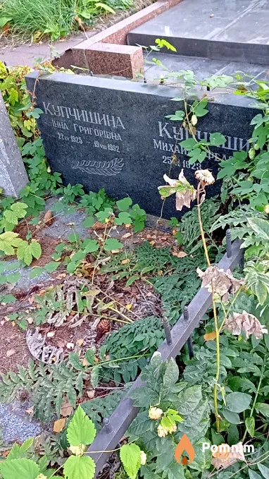 Купчишин Михайло Федорович
