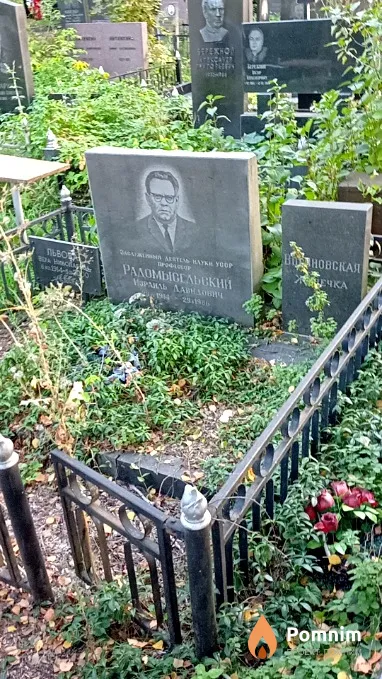 Радомысельский Израиль Давидович