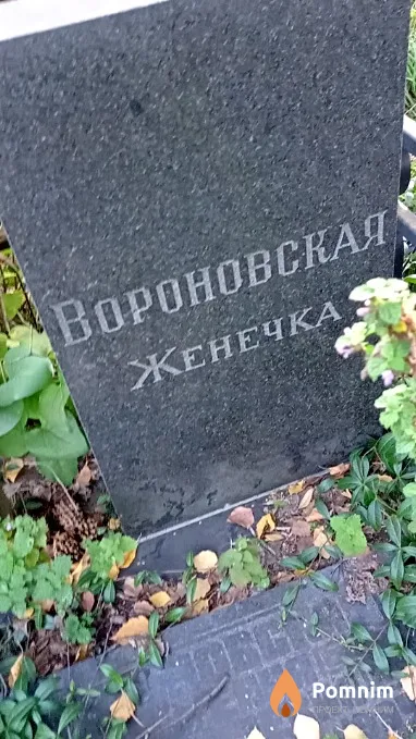 Вороновская Евгения