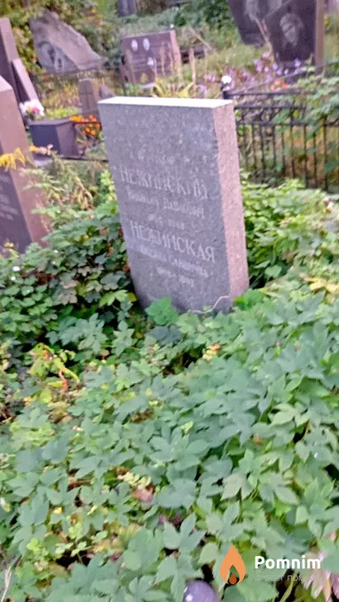 Нежинский Николай Павлович