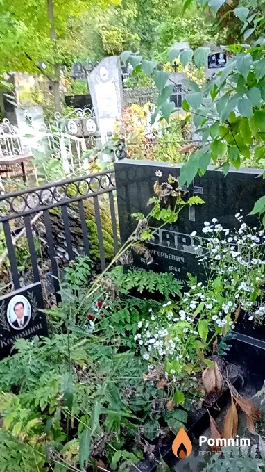 Коломиeц Дмитрий Анатольевич