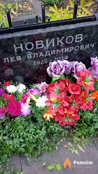 Новиков Лев Владимирович