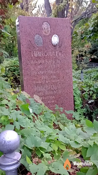 Николаев Николай Касьянович