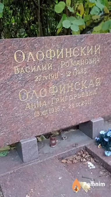 Олофинская Анна Григорьевна