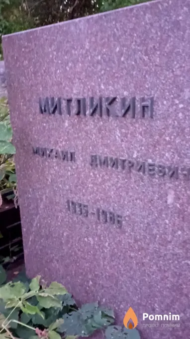 Митликин Михаил Дмитриевич