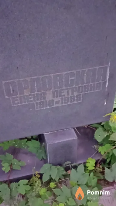 Орловская Елена Петровна