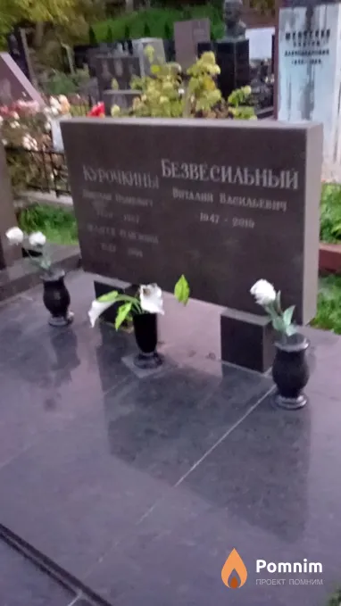 Безвесильный Виталий Васильевич