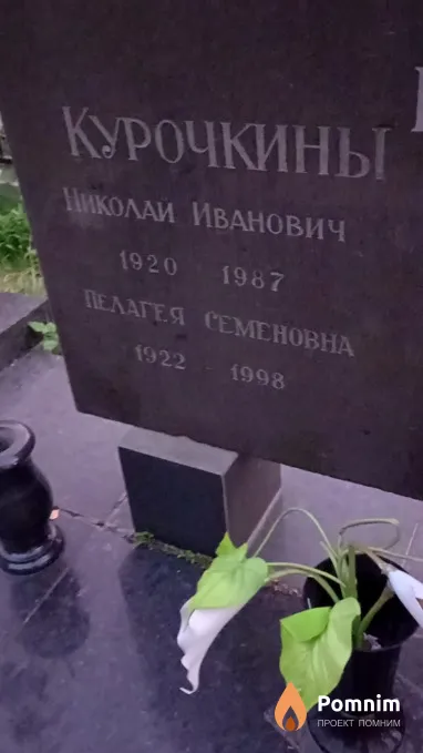 Курочкин Николай Иванович