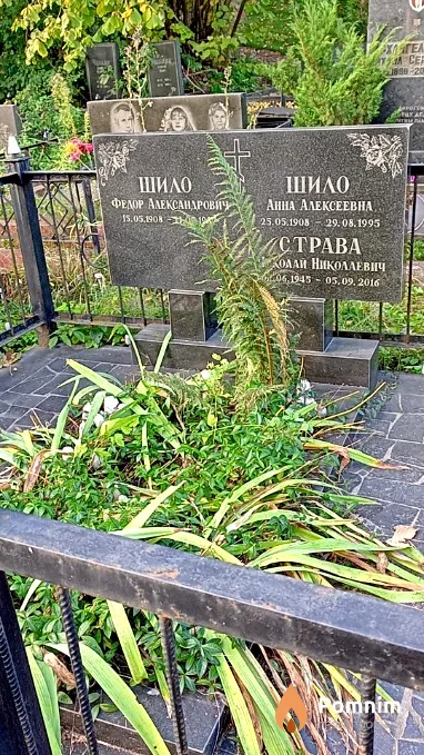 Шило Анна Алексеевна