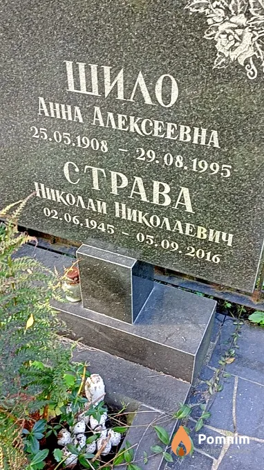 Страва Николай Николаевич