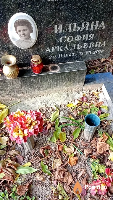 Ильина София Аркадьевна