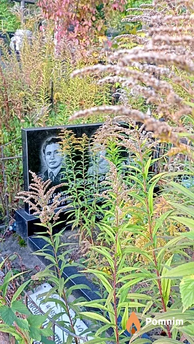 Прокофьева Мария Иосифовна