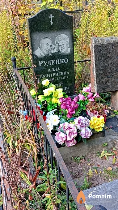Руденко Алла Дмитриевна