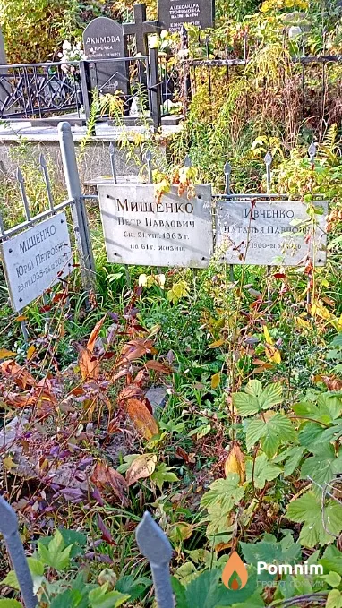 Міщенко Юрій Петрович