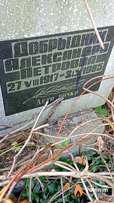 Доброднык Александра Петровна